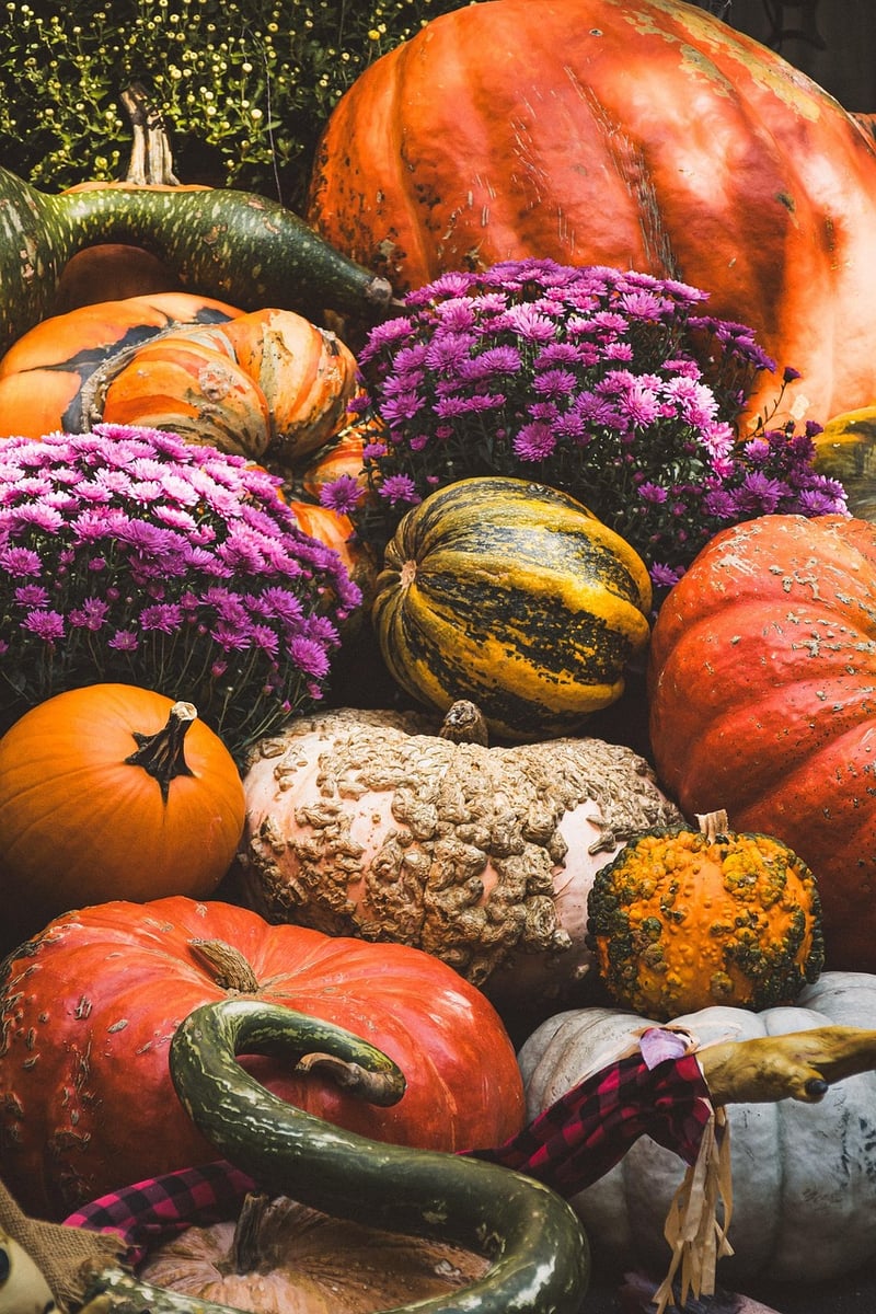 Fall Harvest